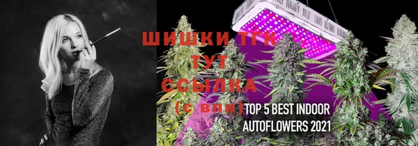 прущий лед Армянск