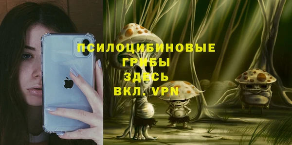 PSILOCYBIN Аркадак