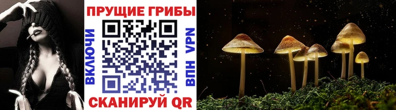 Галлюциногенные грибы Cubensis  MEGA маркетплейс  Бодайбо 