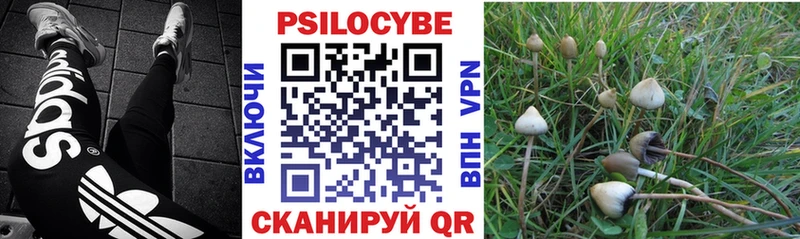 Псилоцибиновые грибы мицелий Бодайбо